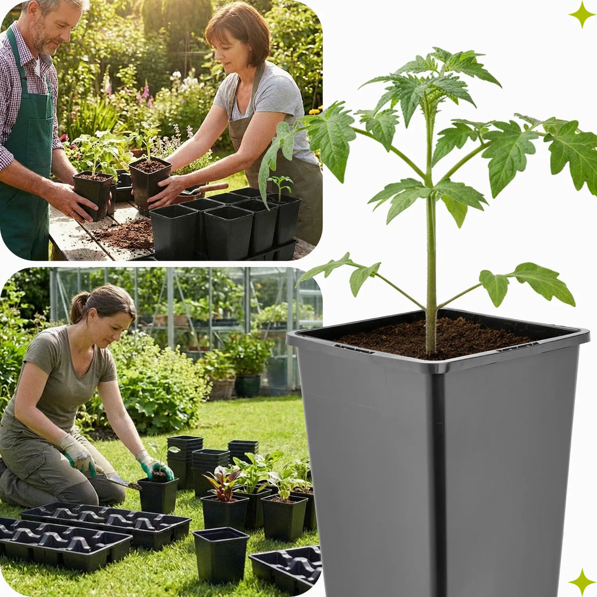 #Größe_Transporttray mit 10 x 1,25L Töpfen
