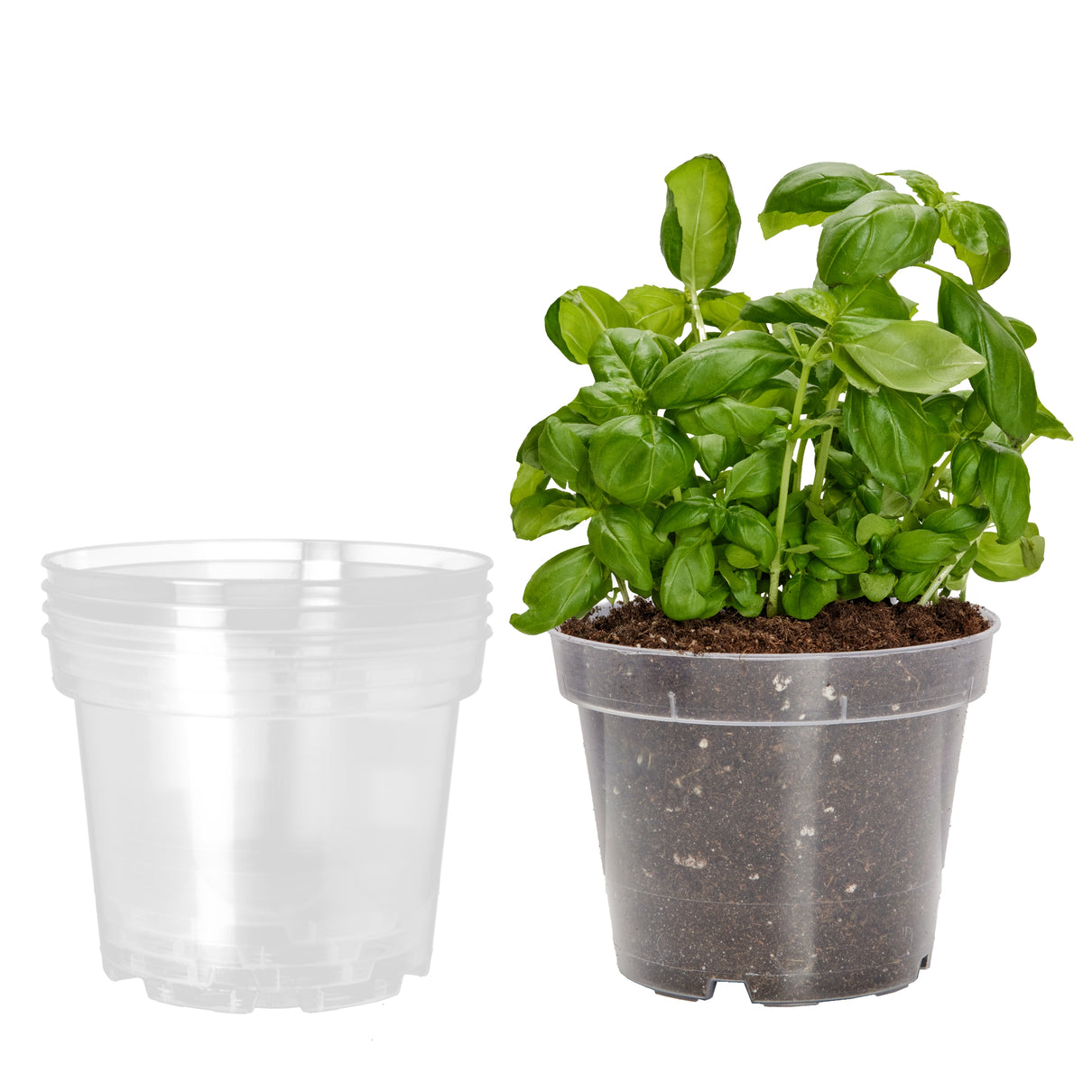 #Set_5 Töpfe#!Größe_⌀ 12cm H=10,5cm